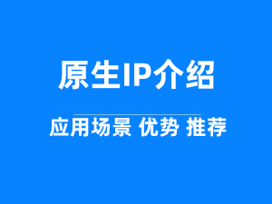 深入了解原生IP：应用领域、优势与普通IP的差异-优质供应商推荐
